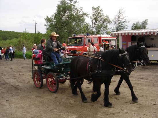 Kutschfahrten